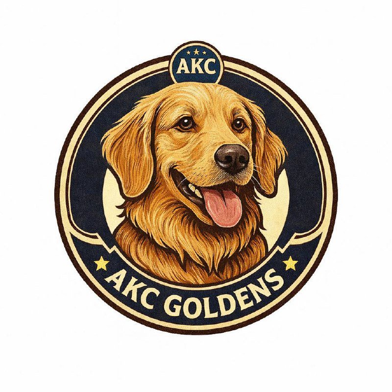 AKC Golden